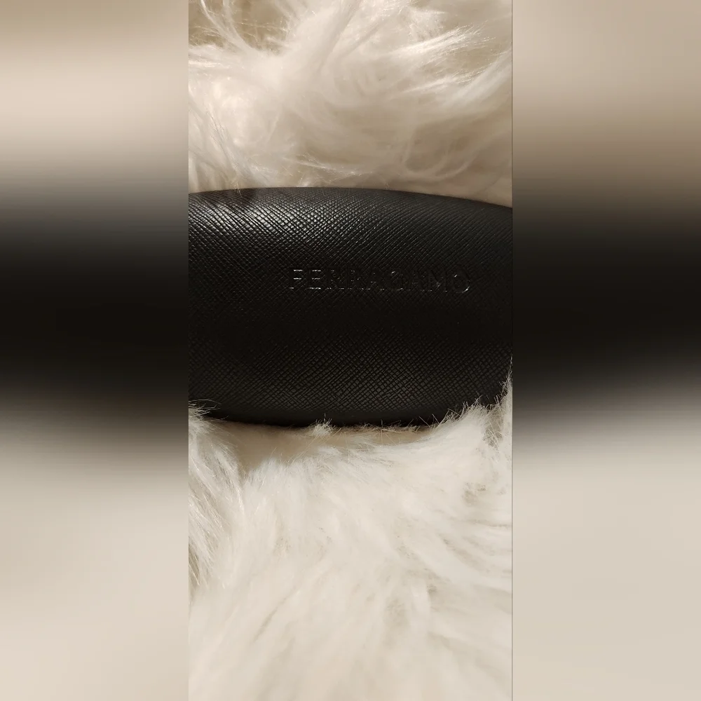 Ferragamo Black Sunglasses Case